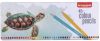 Bruynzeel kleurpotlood Schildpad, metalen doos met 45 potloden online kopen