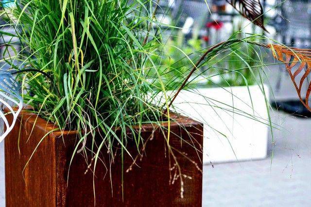 Intergard Bloembak plantenbak vierkant cortenstaal 40x40cm online kopen