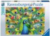 Ravensburger Puzzel Land Van De Pauw 2000 Stukjes online kopen